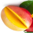 the_lord_of_the_mangos