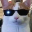 timmothy556