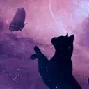 mystic_dragon_1333