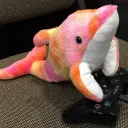 logicdolphin
