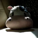 paulrog
