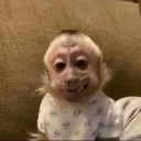 wasimodo_elproplayer. avatar