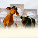 saswat_kunal._78387