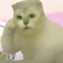 yokosukedayo