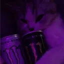kittypreety