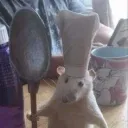 ooh_round_and_round_we_goo avatar