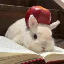 bunnypm.acc2