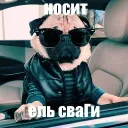 Аватар dimzzik