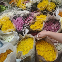 avatar Dolly⋆˚꩜.ᐟ