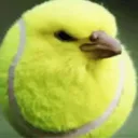 zalxk_1