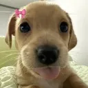 waldurs__87893 avatar