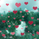 ★Gaty★