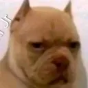 yeral0983_33024 avatar