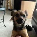 chele_xzc._23089 avatar