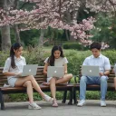 blue000333999 avatar