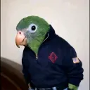 salchipapa0542_53125 avatar