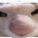 frman0277_92198 member profile picture