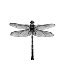 DragonFlyNova