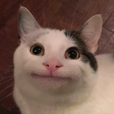 avatar Beluga