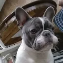 heavenboundboi