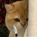 nekosama_999