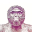 mimou1406