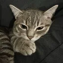 kizzooooo
