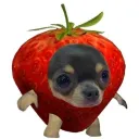 elasaltacunas30000492 avatar