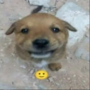 liiiizblast0518479's Avatar