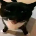 mrluciox_76032 avatar