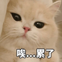 wy1450852549499's Avatar