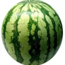 Аватар watermelom12345