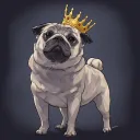 hehe_pug