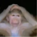 mmalexshisava2 avatar