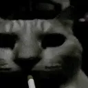 retirado_xxczgd