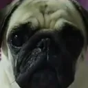 Аватар backfint_92782