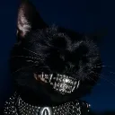 gorditas_de_nata_ avatar