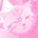 pinknotella