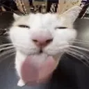 semro