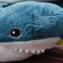 justyourtypicalsharkalt