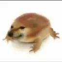 fck_ur_py