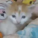 coffieybean
