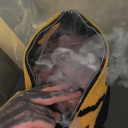 avatar 𝐬𝟏𝟖𝐬