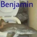 mrmurphy120425 avatar