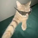 pelucremino0164 avatar