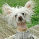 avatar 𝒴𝓊𝓀𝒾𝒾𝒾𝒾