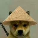 angel_kitten_31358 avatar