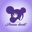 martin_anesia