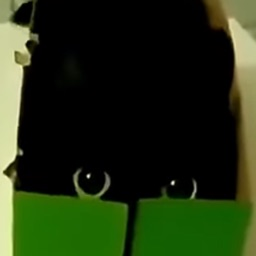 brody016505's Avatar