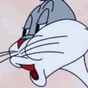 catniceqp_34304